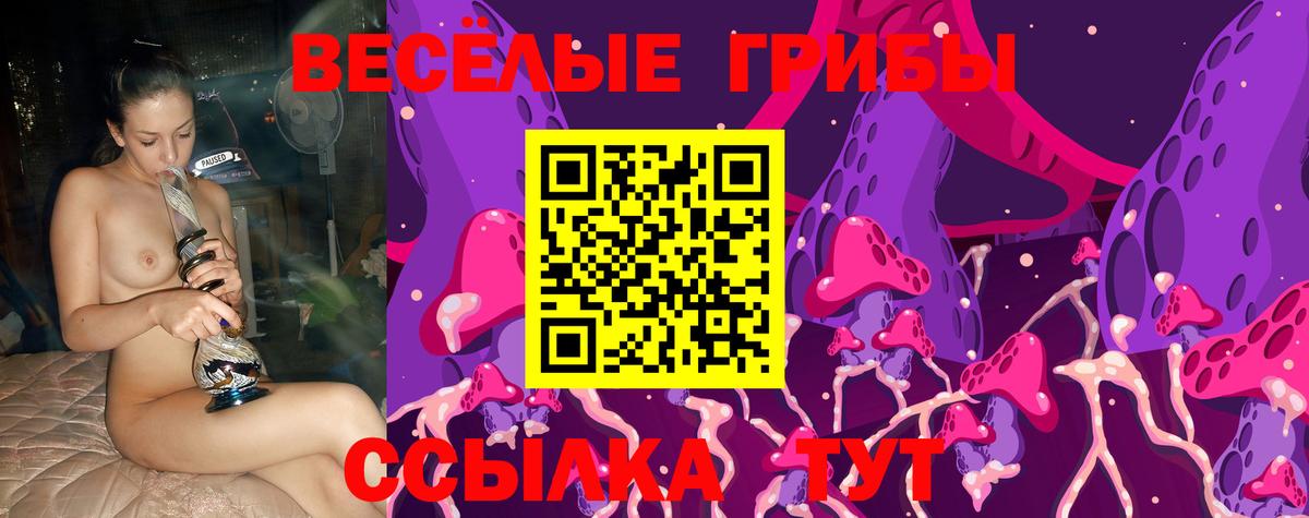 Псилоцибиновые грибы GOLDEN TEACHER  Псилоцибиновые грибы GOLDEN TEACHER  Куйбышев  Вход с VPN 