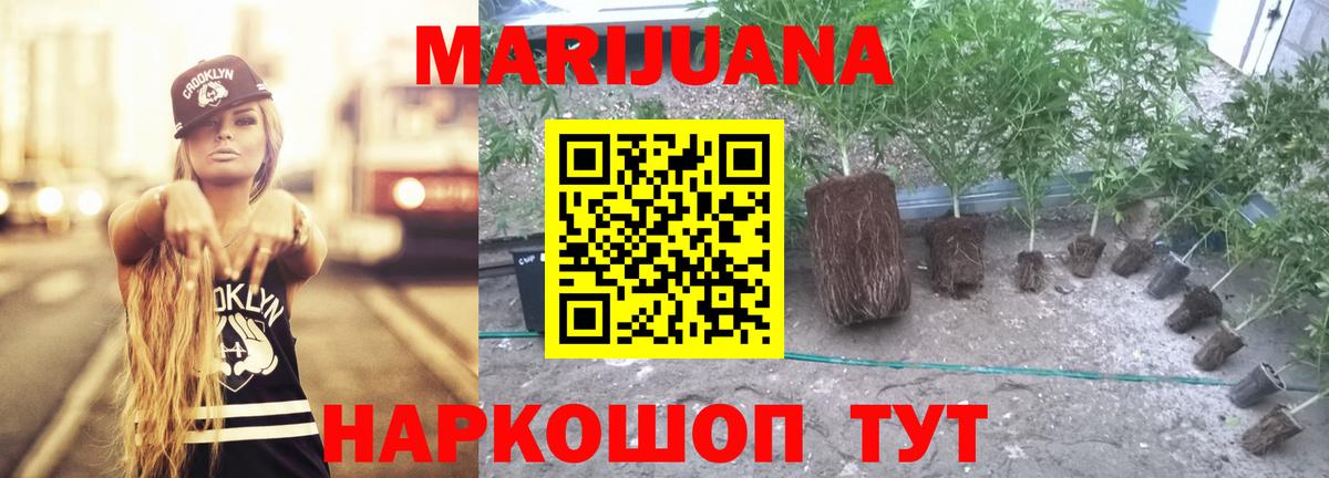 Шишки марихуана сатива  Вход с VPN  Куйбышев  Конопля план  Канабис марихуана 